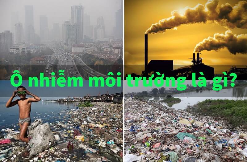 Ô nhiễm môi trường là gì 5 vấn đề nghiêm trọng do rác thải gây ra