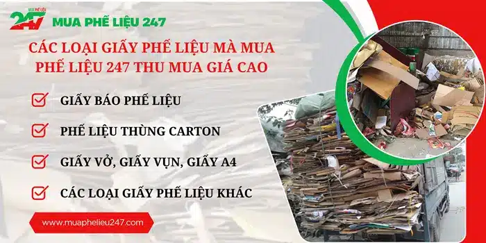 Các loại giấy phế liệu mà Mua Phế Liệu 247 thu mua giá cao.